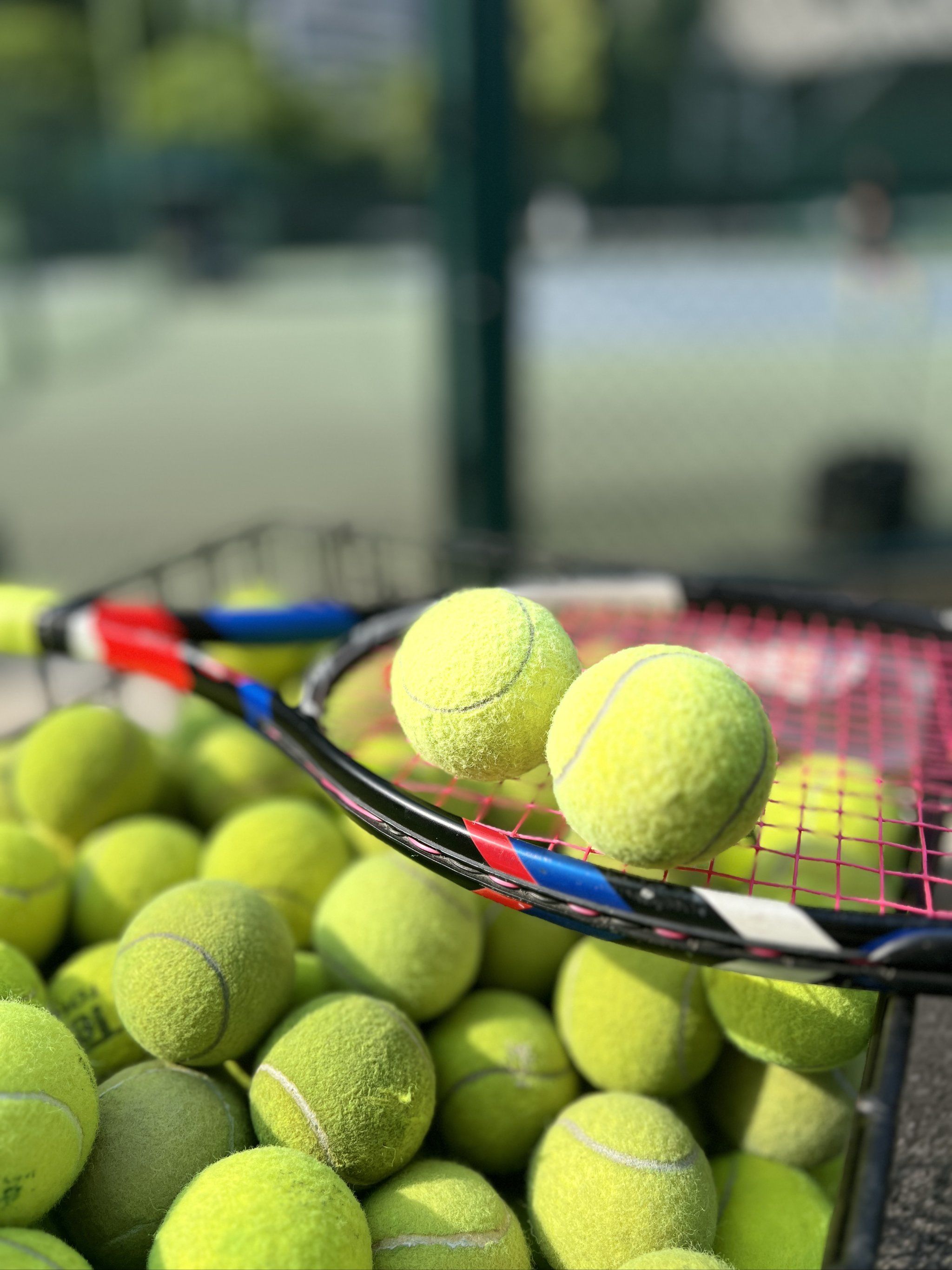 无论是莫兰 无论是莫兰